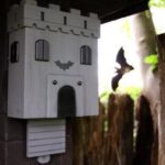 Waarom vleermuiskasten essentieel zijn voor jouw tuin
